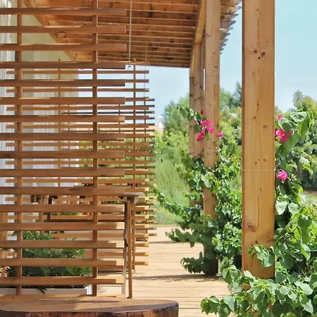 Dom wakacyjny Abacatus Tavira