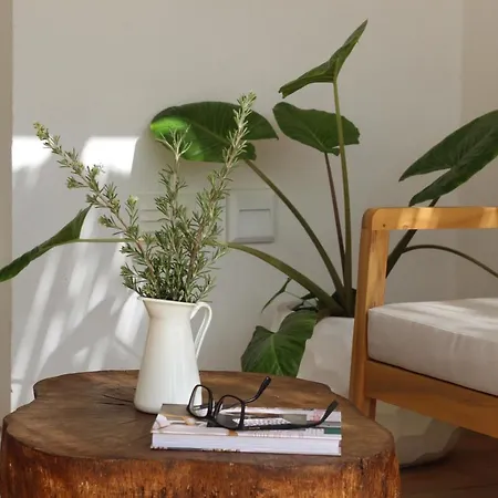 Vakantiehuis Abacatus Tavira